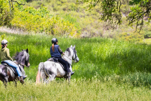 Hissar Horseback Riding Tour